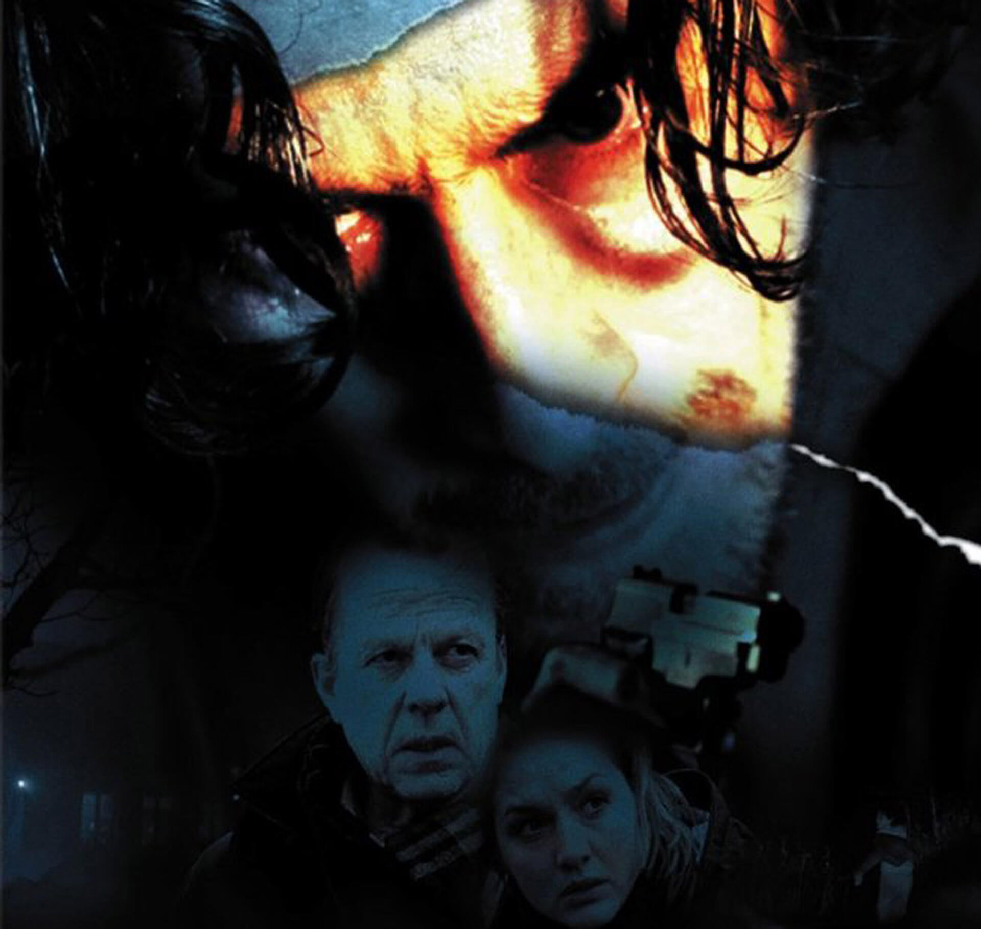 Hemmeligheden, Wallander 13