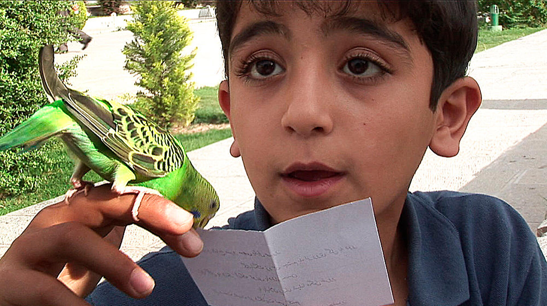 Fuglen der kunne spå