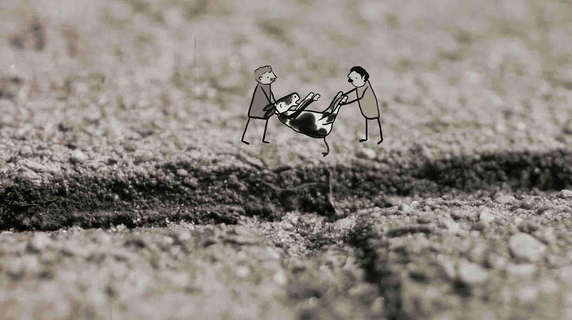 1 minut natur - gamle knogler