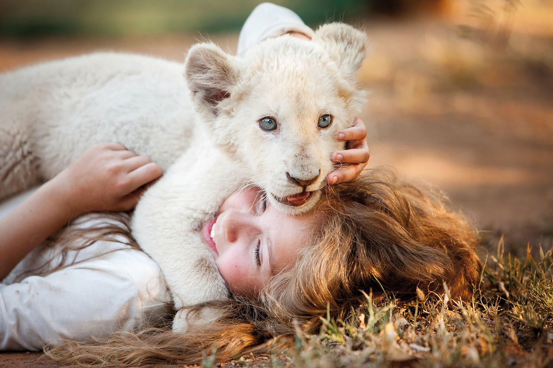 Mia and the white lion