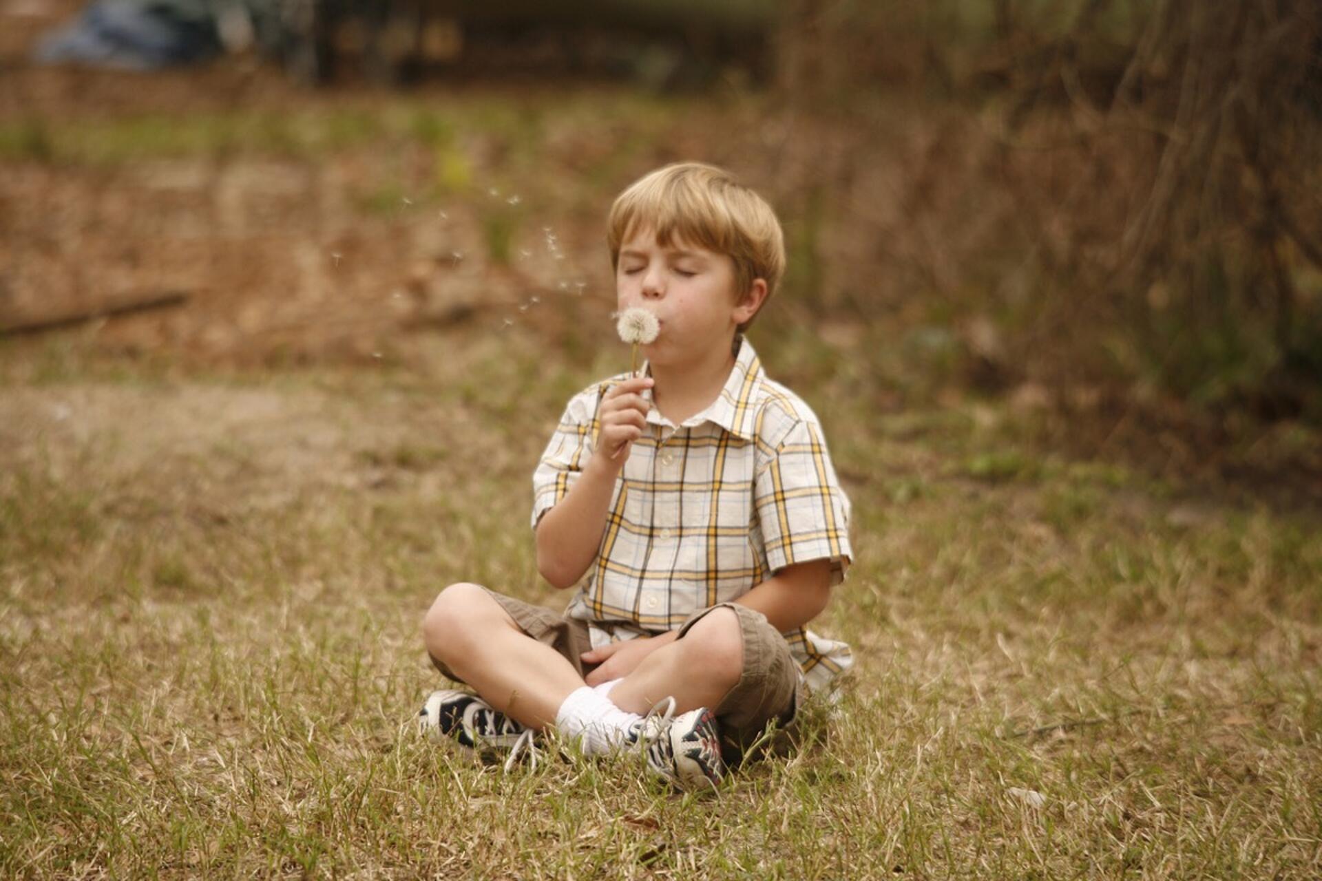 Som støv fra himmelen