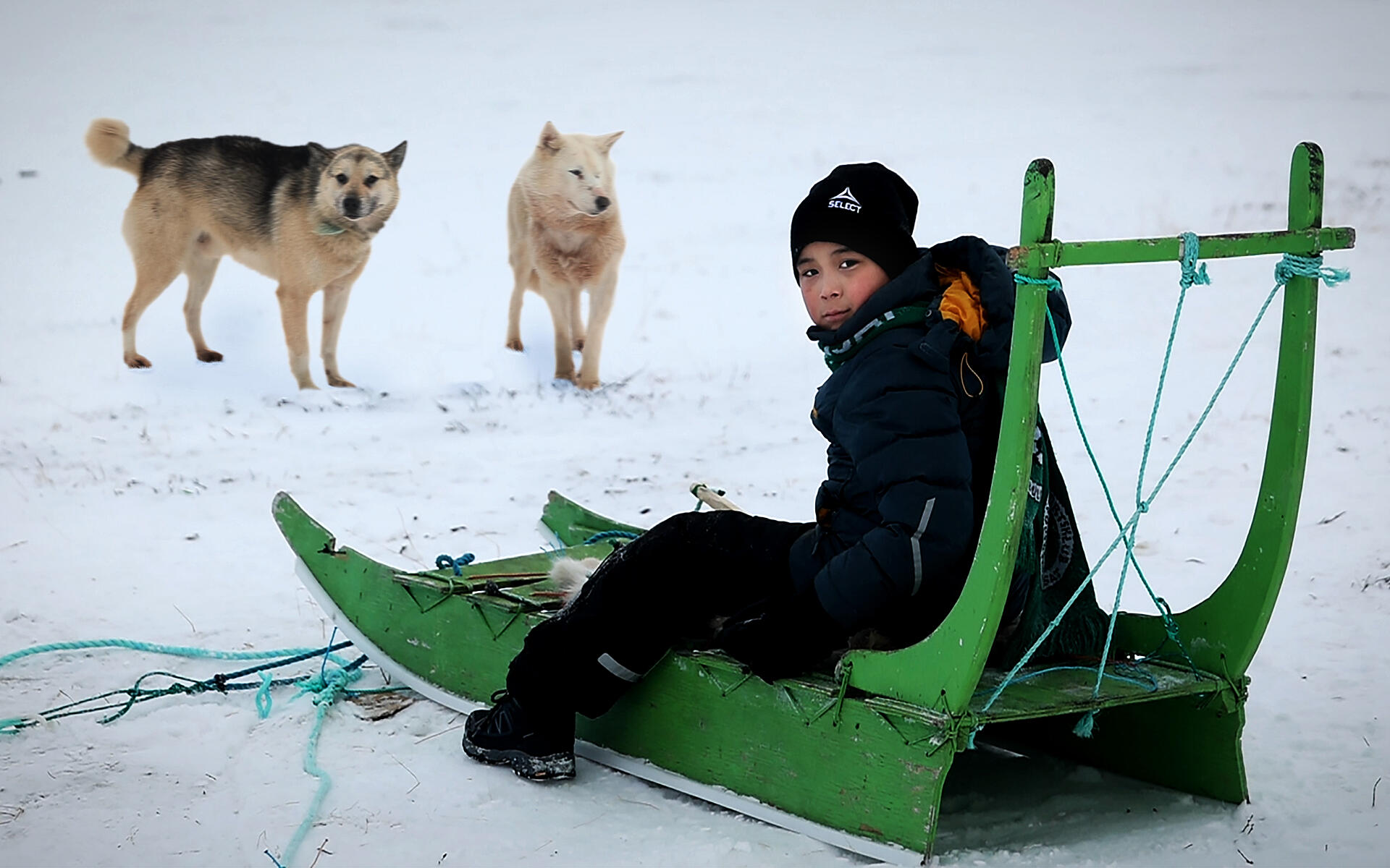Min klasse i Grønland 1:10 - Hundeslæde