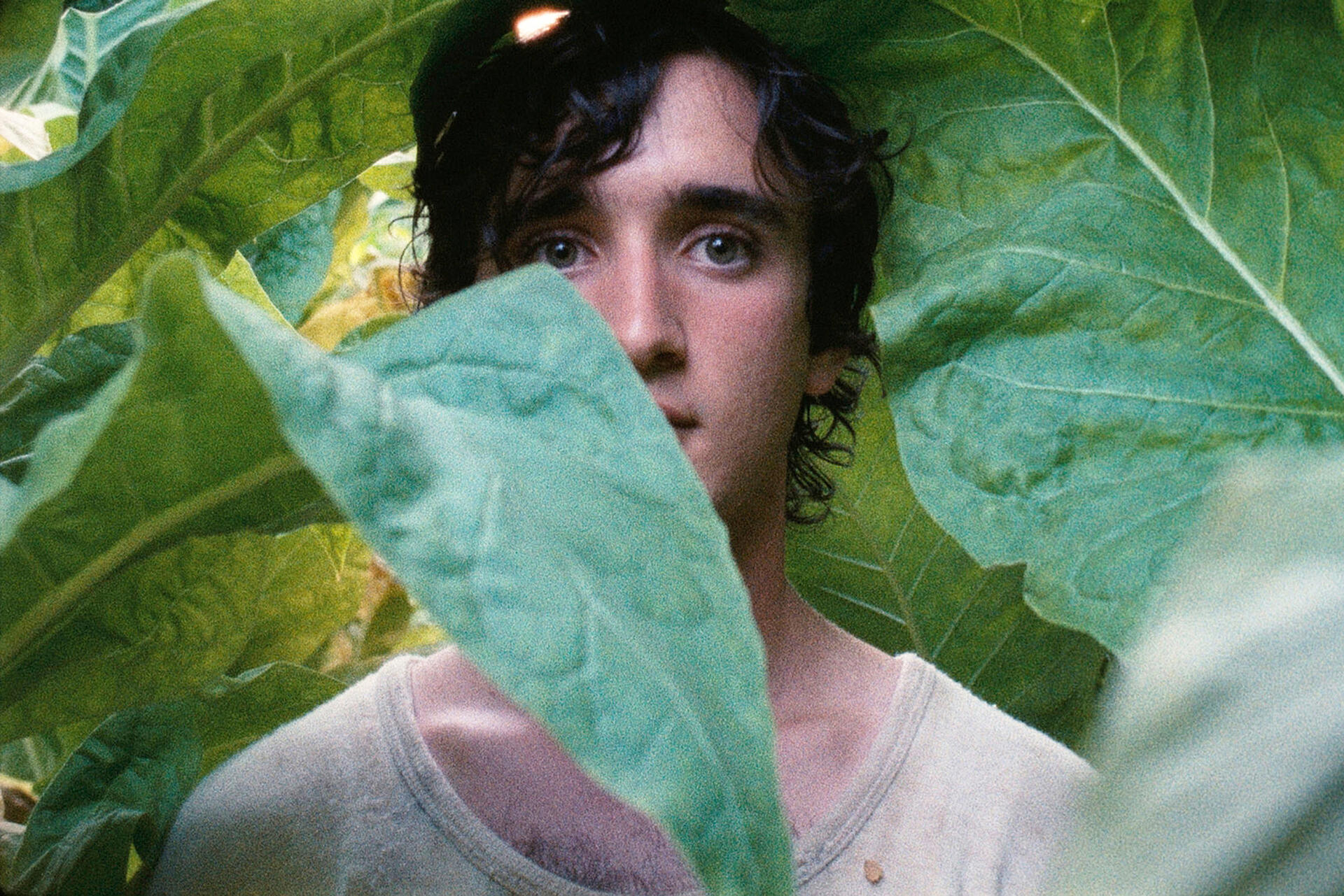 Lazzaro den lykkelige