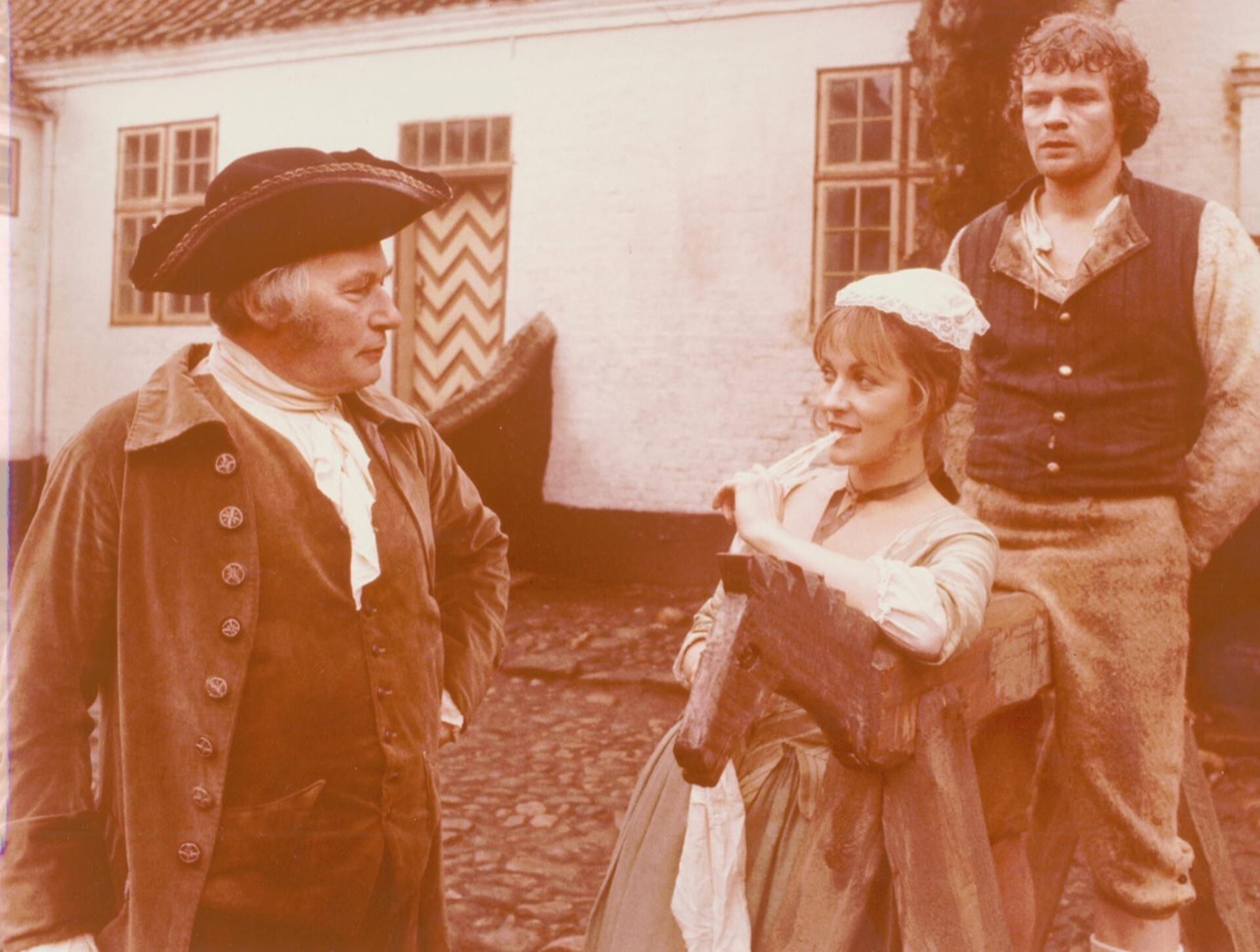 Bejleren : en jysk røverhistorie