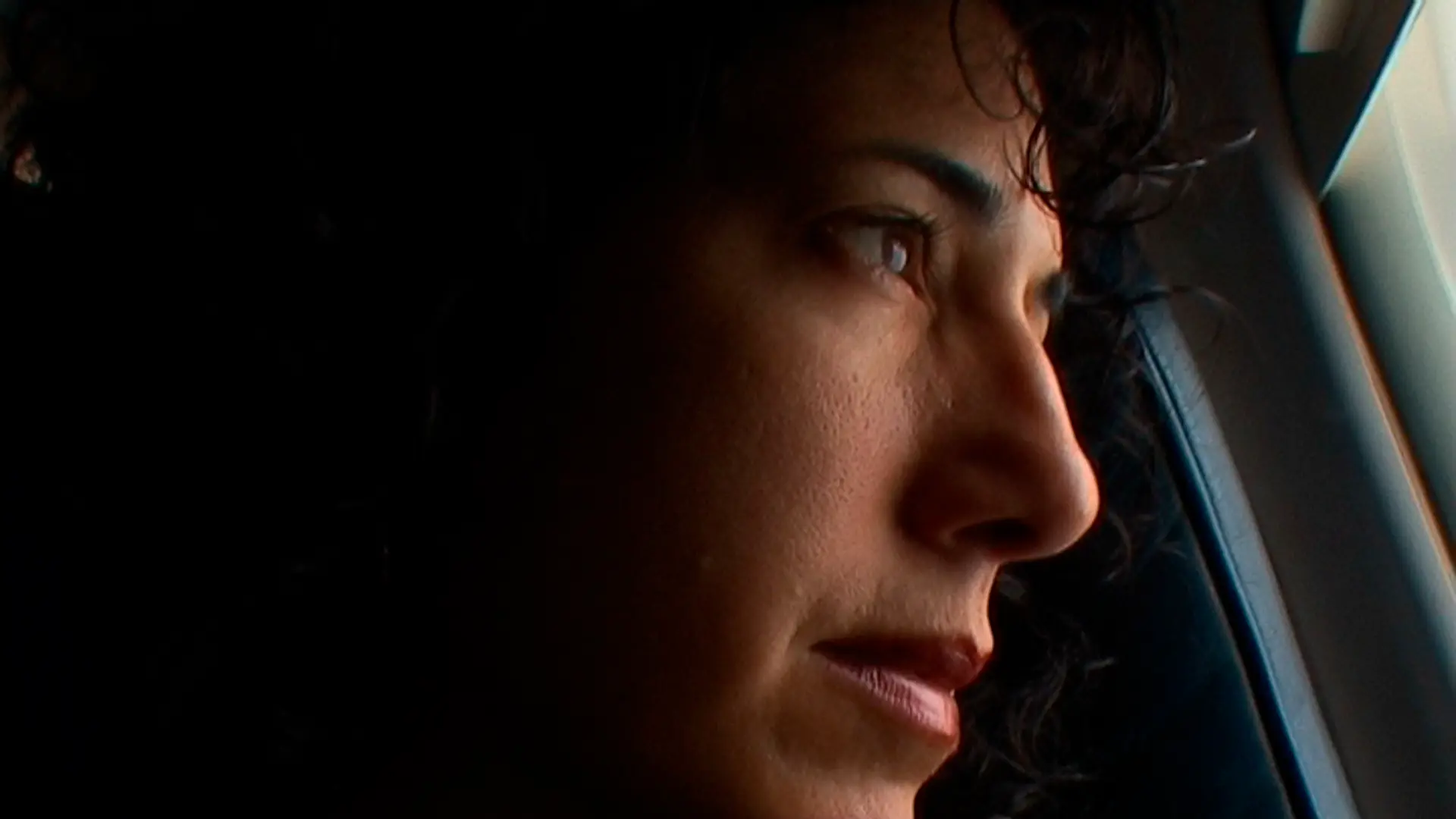 Flying : confessions of a free woman. Kapitel 1: No fear of flying
