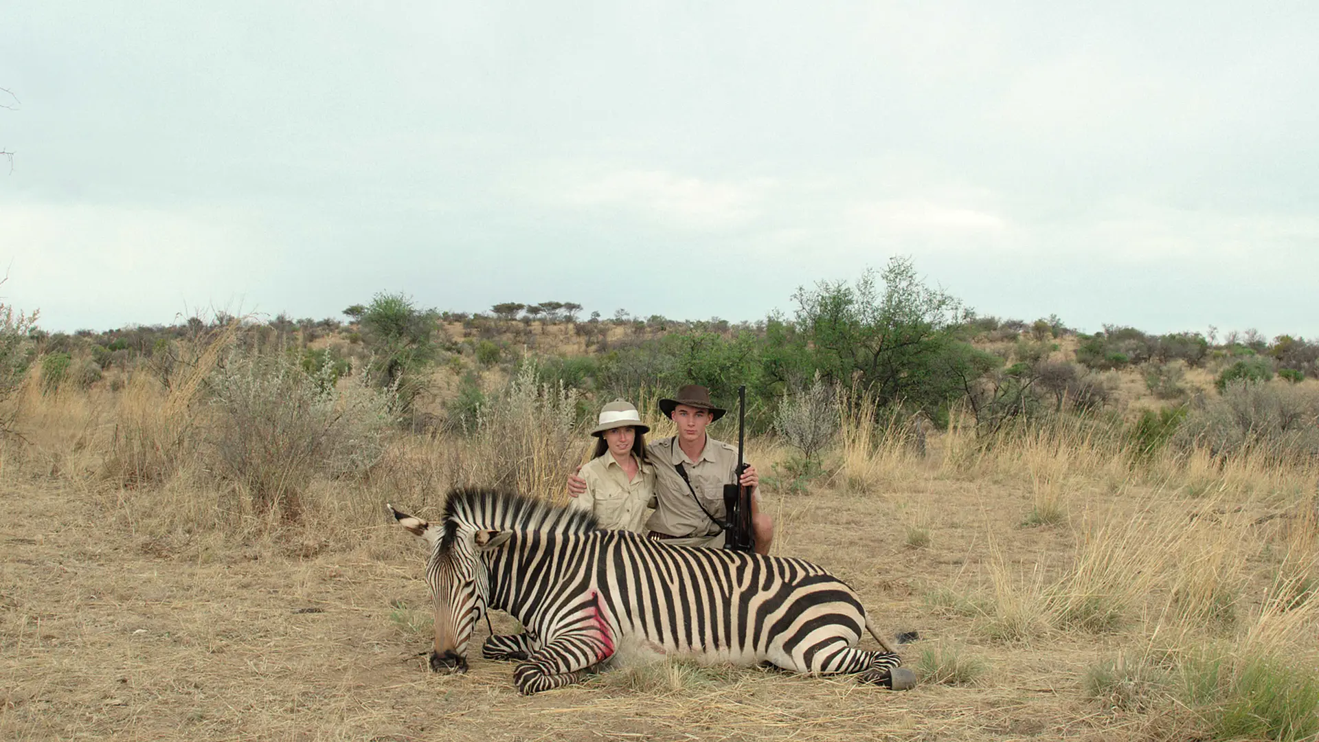 Safari