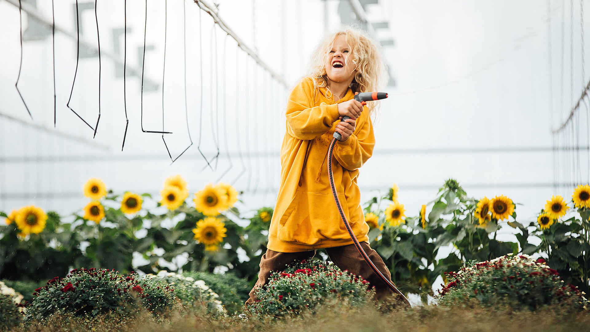 Sihja - den frække fe