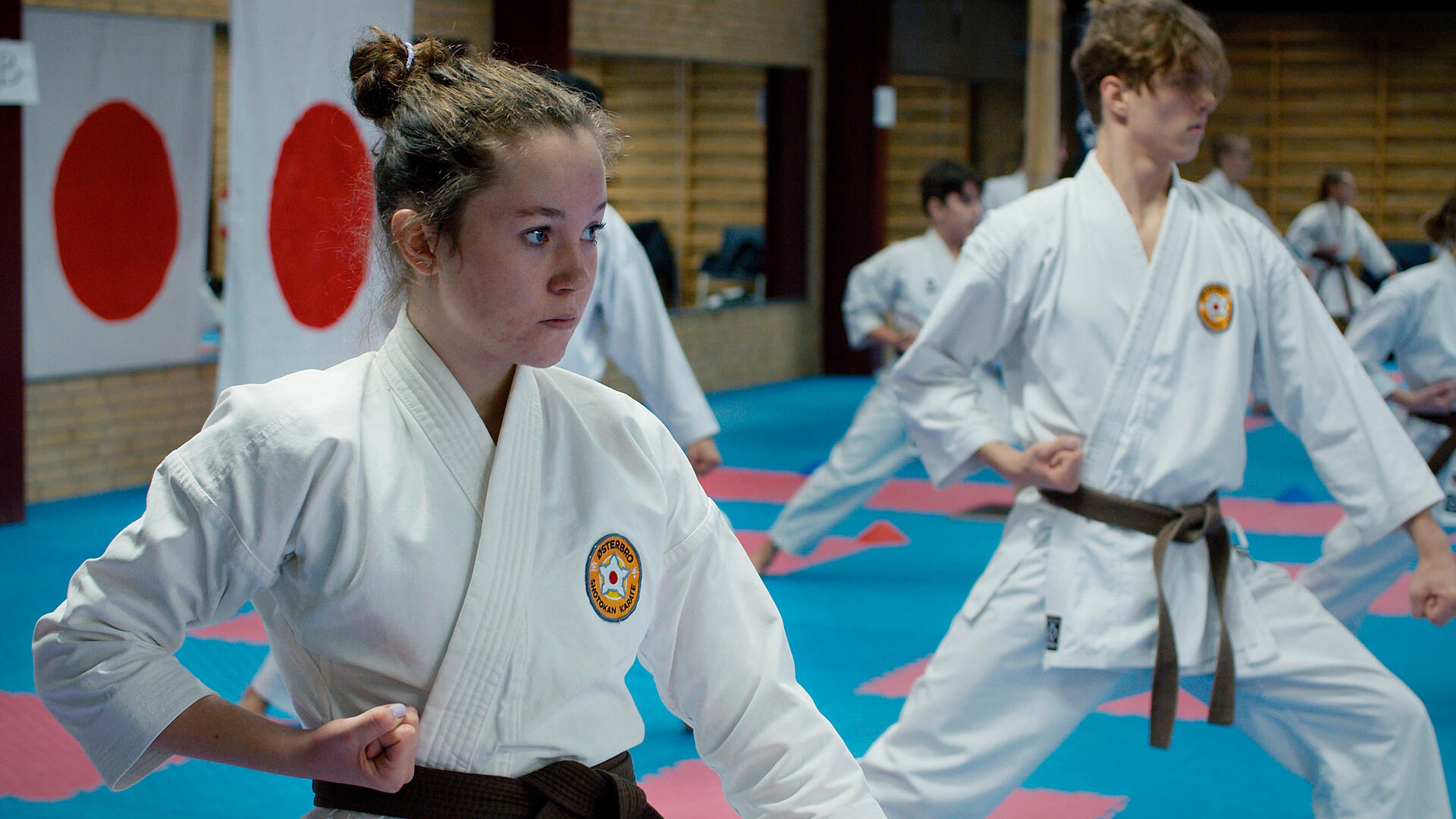 Det sorte bælte 8:8 – Den store dag