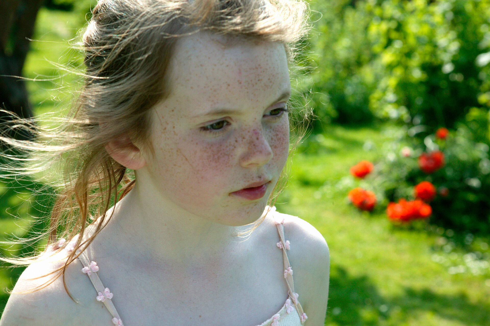 Louise og Papaya : min usynlige veninde