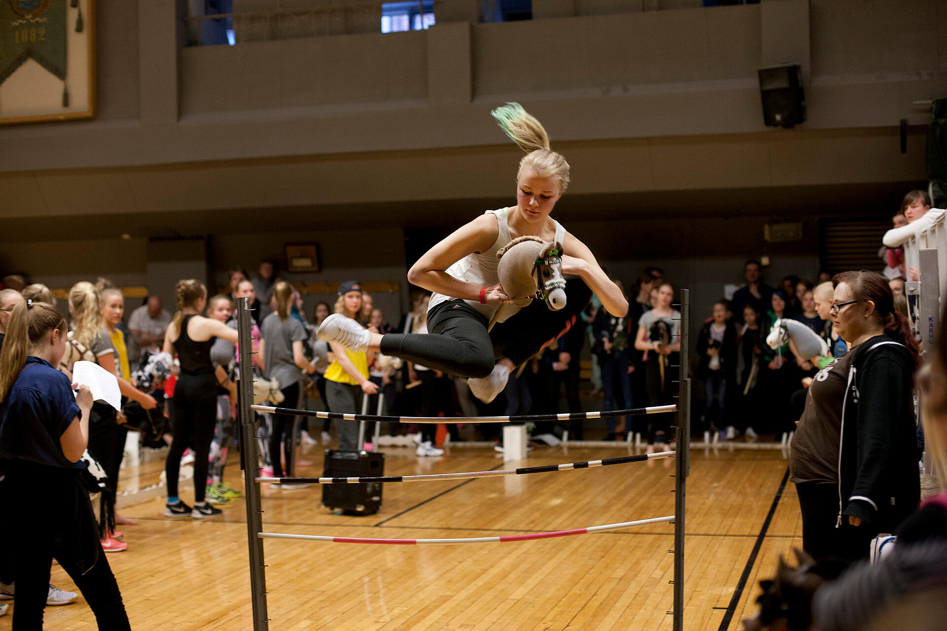 Hobbyhorse revolution