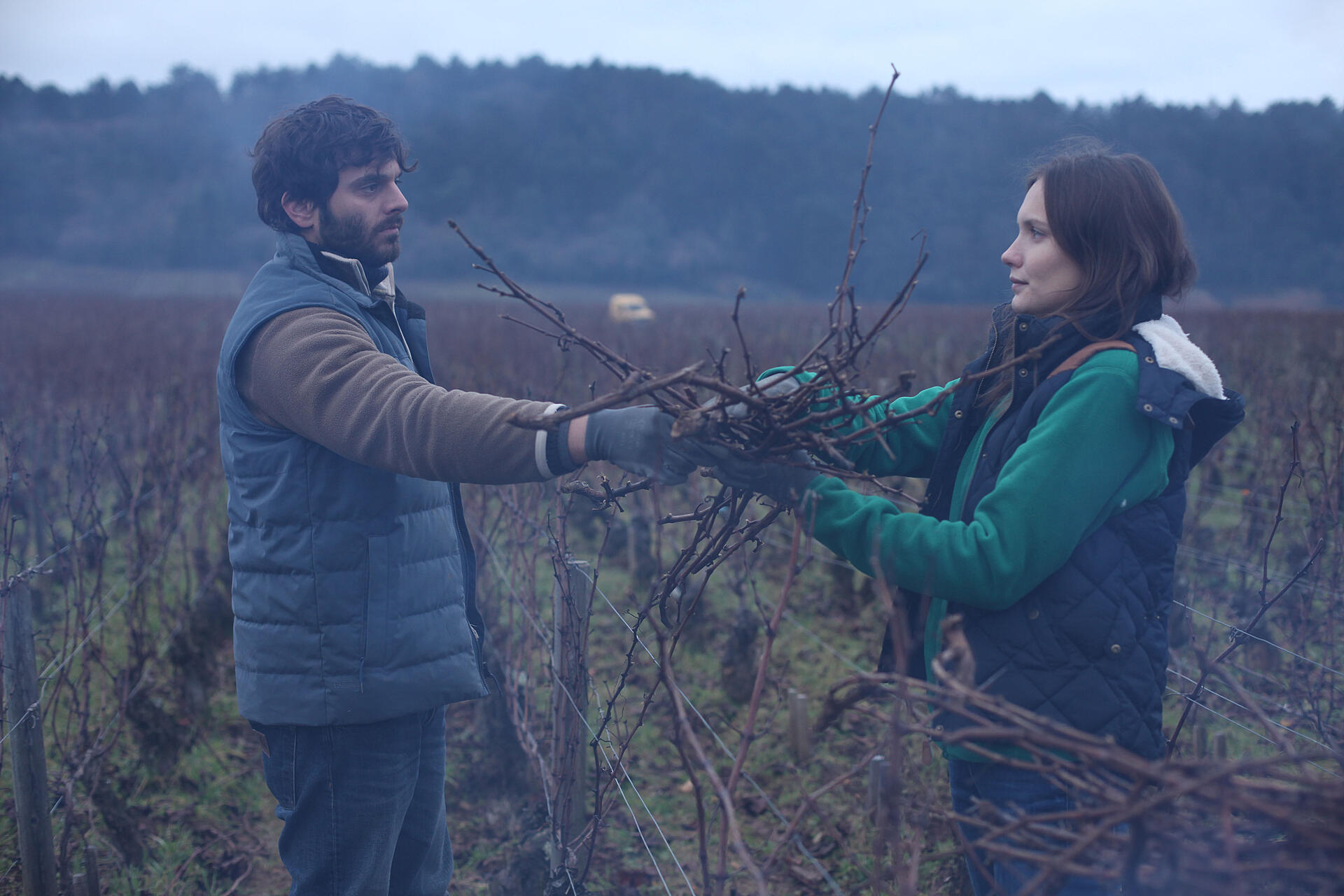 Vores vingård i Bourgogne