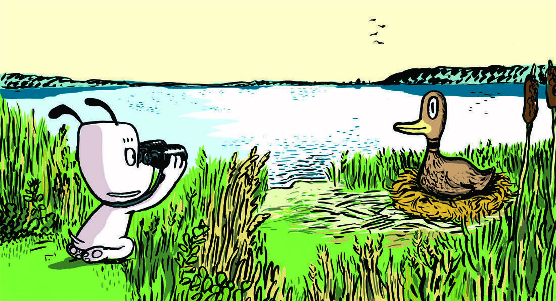 Hunden Ib - Ib hjælper en and