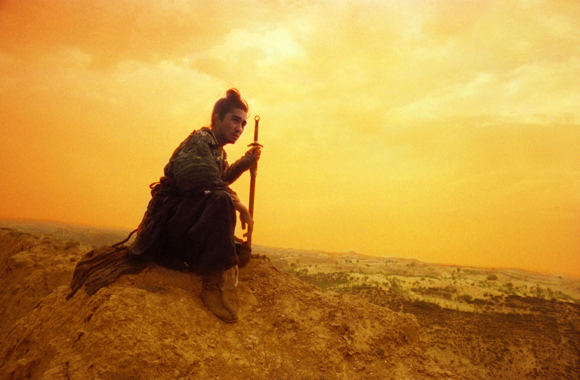 Ashes of time - redux