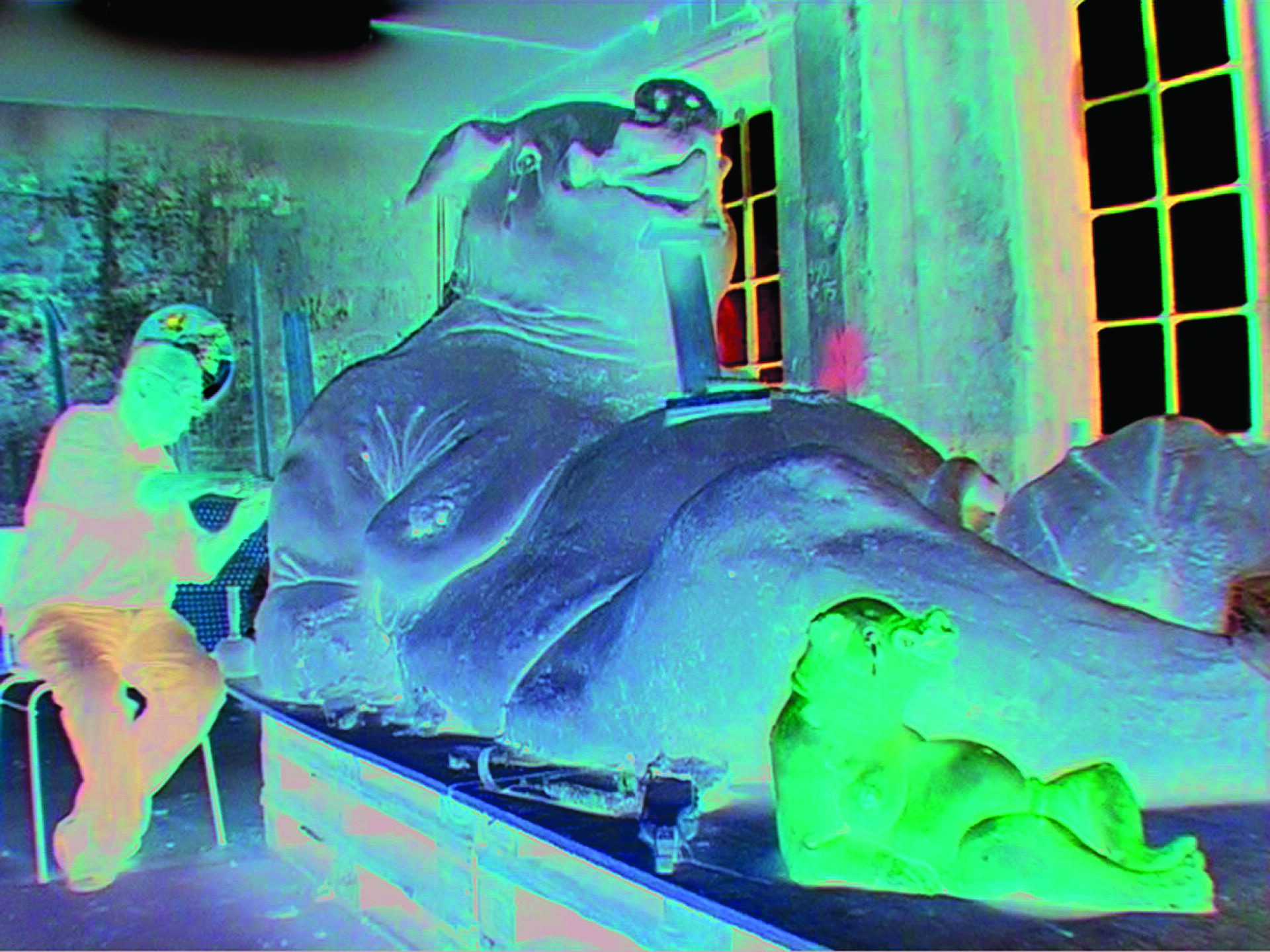 Jørgen Haugen Sørensen : jeg mener, jeg ser