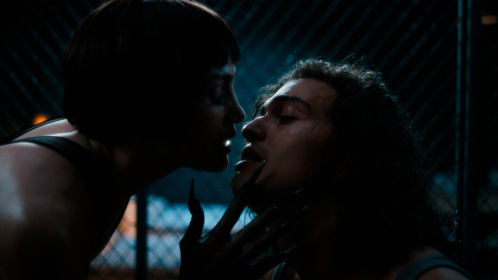 Kiss of the spider woman