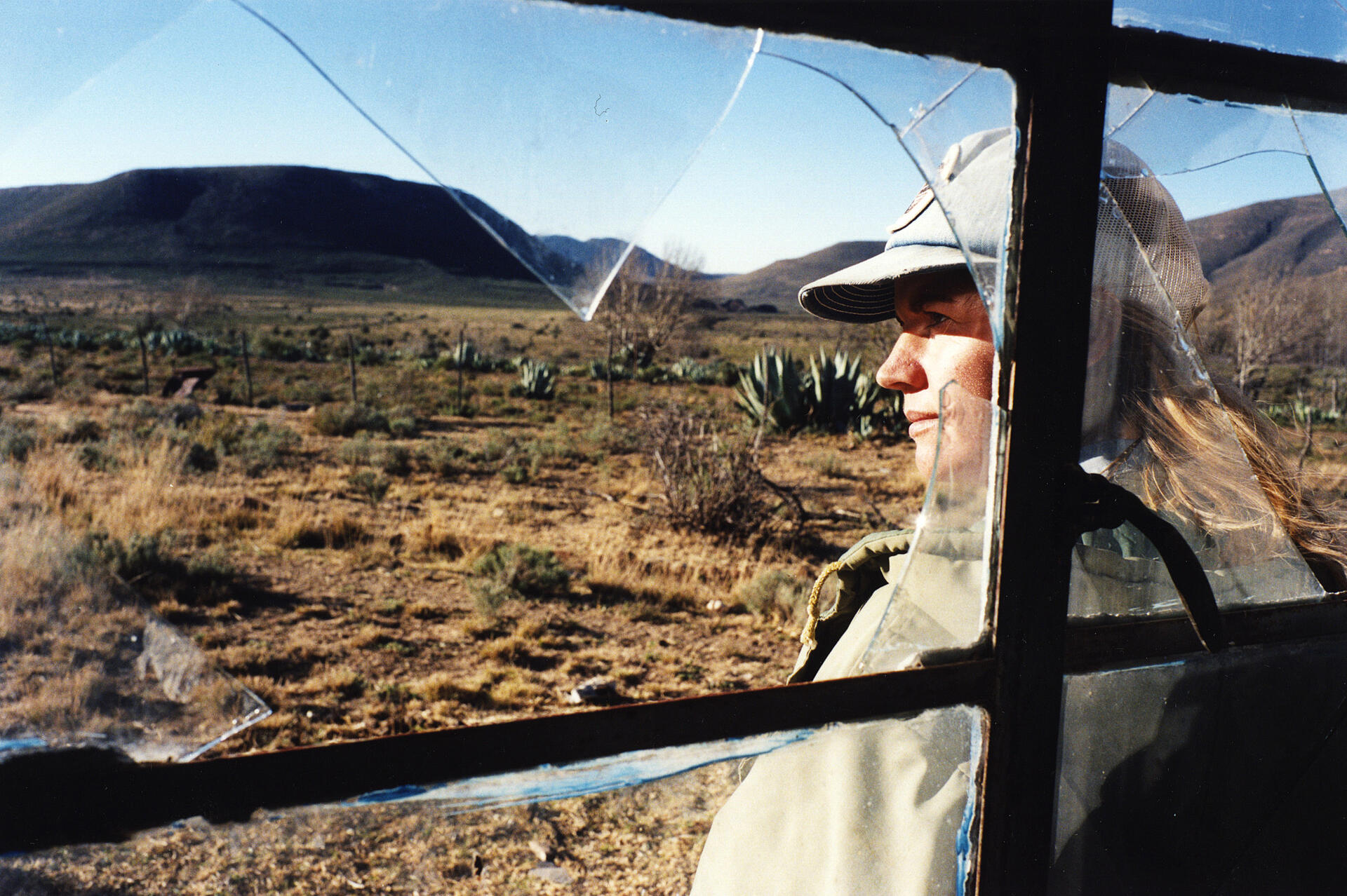 Addicted to solitude