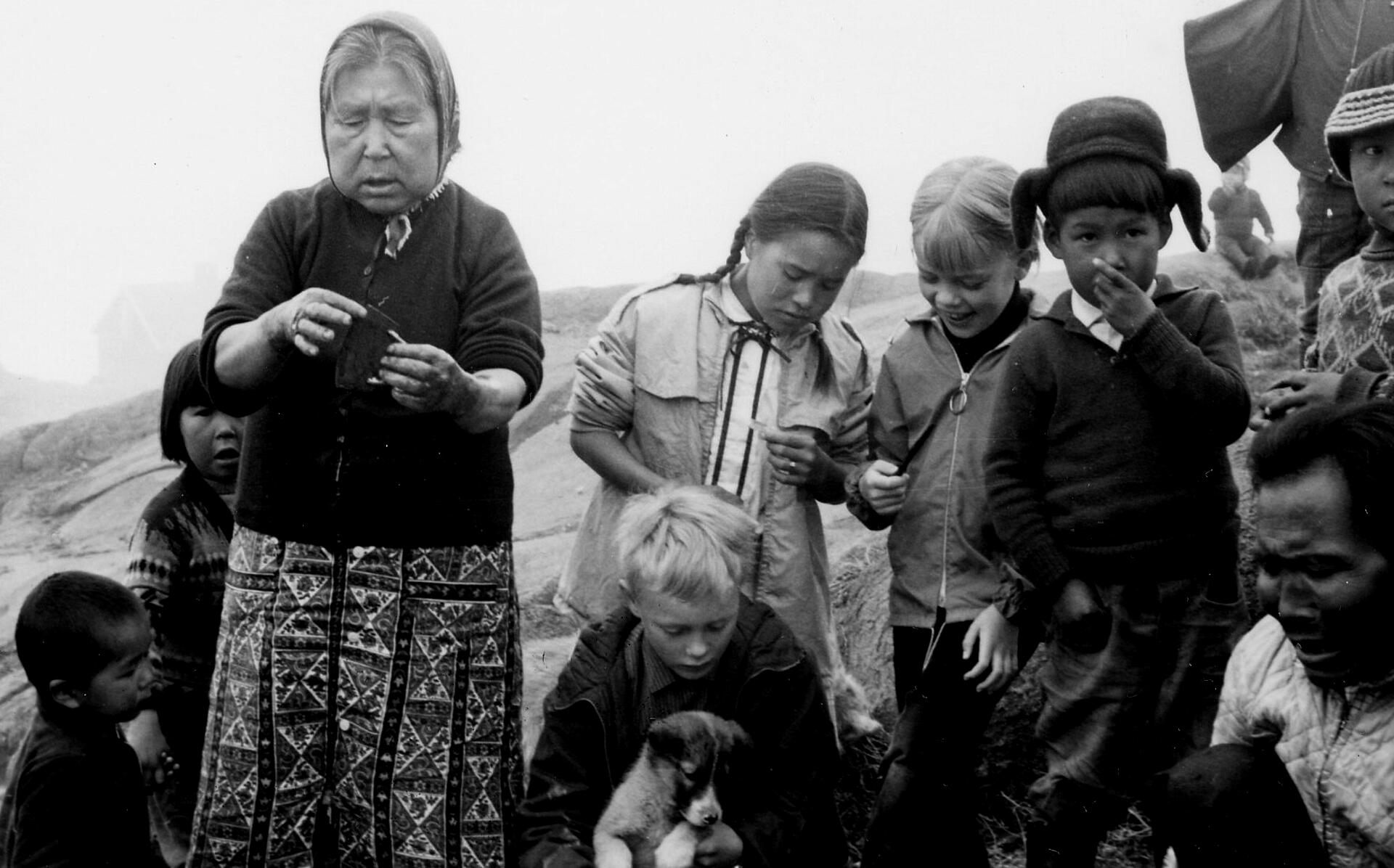 Rikke på Grønland 1 : Vinter og sælfangst