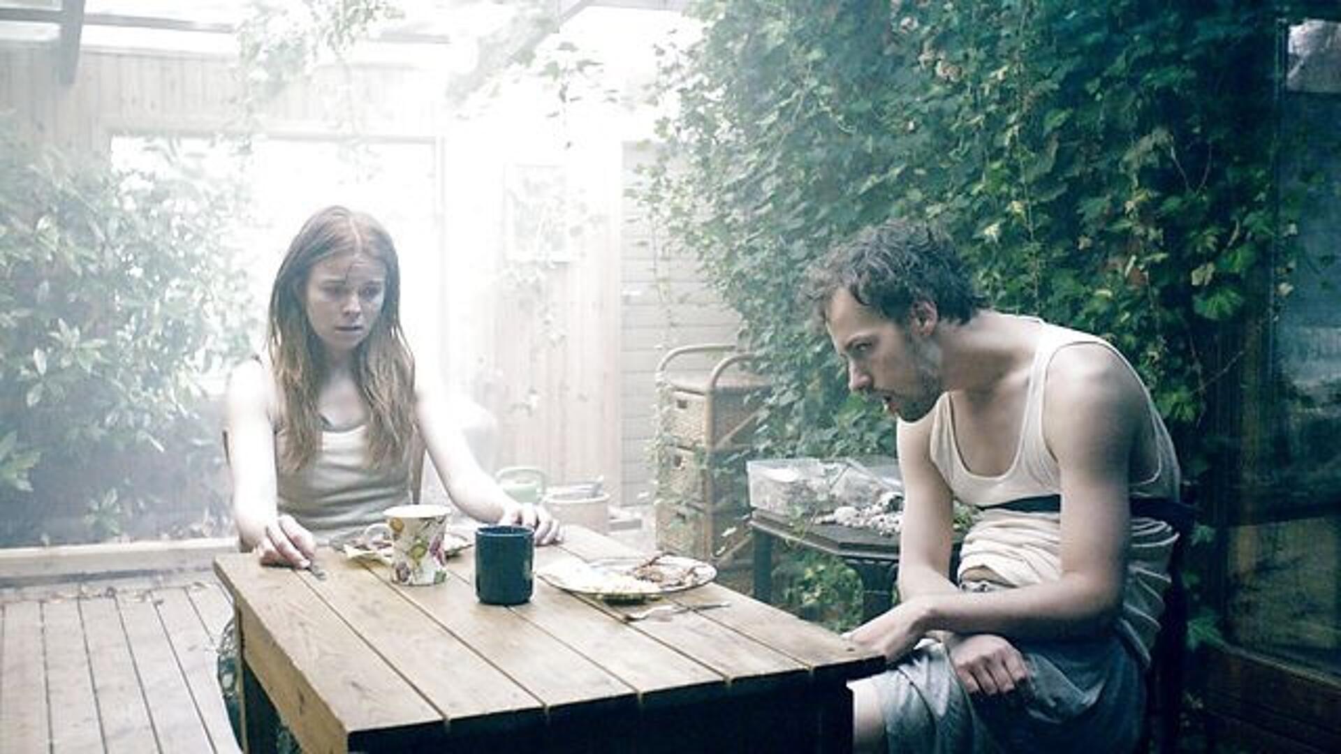 Hvor lyset kommer ind