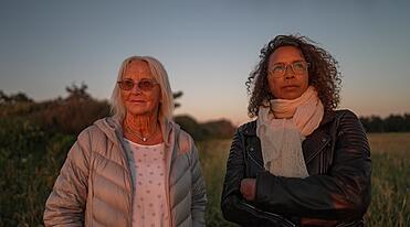 Tavsheden i mit hjerte