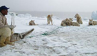 Hingitaq - de fordrevne