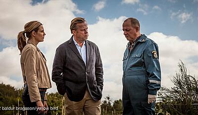 Bedraget, Wallander 29