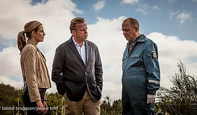 Bedraget, Wallander 29