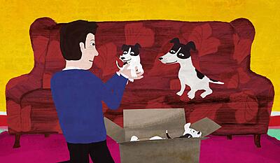 Min lille hund Mester - Mesters hvalpe