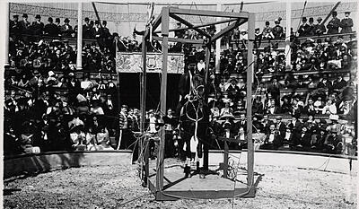 Dødsspring til hest fra circuskuplen