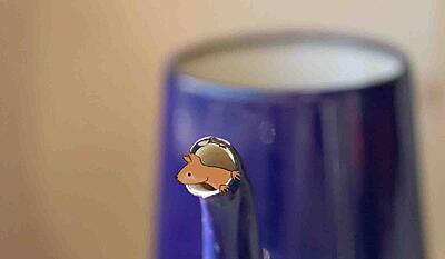 1 minut natur - egernet