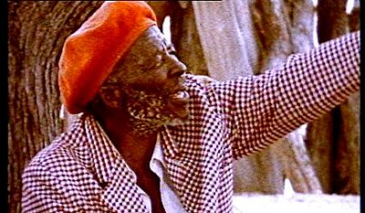 Vi hører til - Buskmenneskers møde med den vestlige civilisation