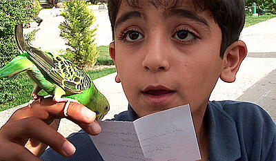 Fuglen der kunne spå