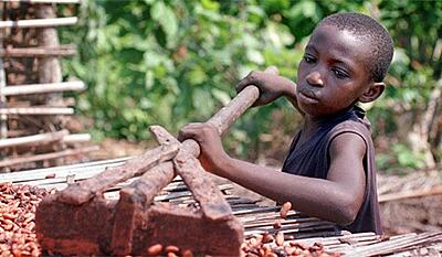 Chokoladens mørke bagside