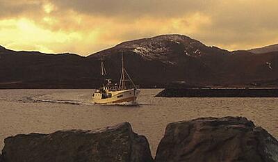 Jagten på den sidste torsk