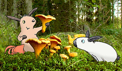 Ville og Vilde Kanin