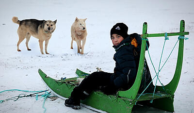 Min klasse i Grønland 1:10 - Hundeslæde