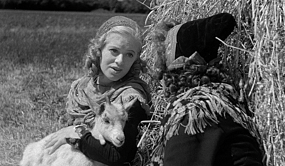 En søndag på Amager