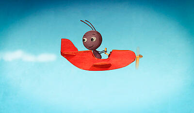 Lillefinger - myrens fly