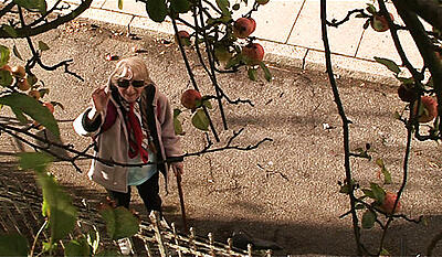 Det gule hus - Gamle Johanne