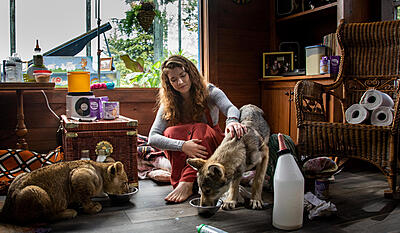 The wolf and the lion