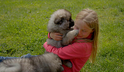Josefines bondegård - 5. Hundehvalpen