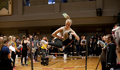 Hobbyhorse revolution