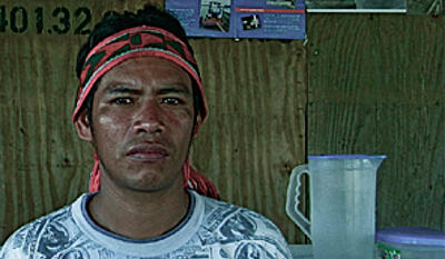 De har solgt verdens lunger