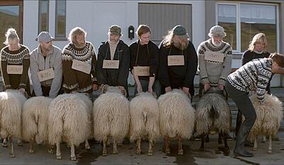 Blandt mænd og får