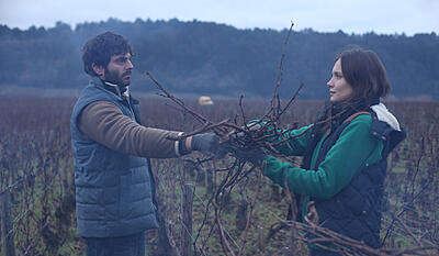 Vores vingård i Bourgogne