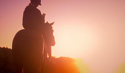 Ponylove - Pony for altid