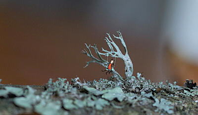 1 minut natur - min kat og mig