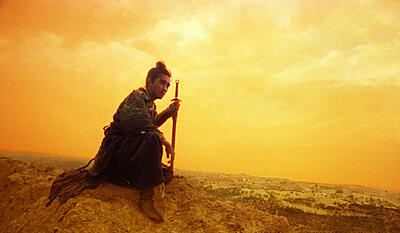 Ashes of time - redux