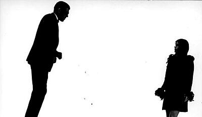 Det perfekte menneske