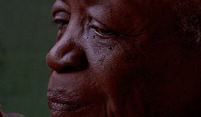 Bastardens smukke sang