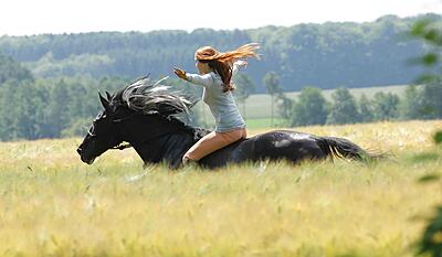 Stormy - sammen er vi fri